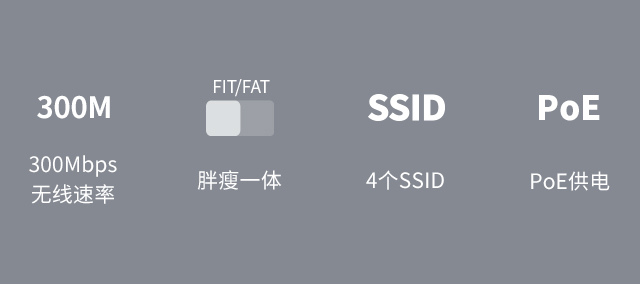 FCAP300P