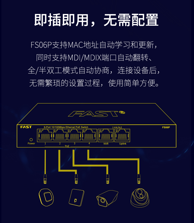 FS06P