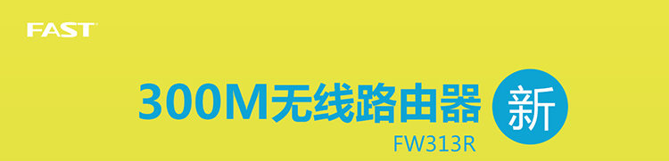 FW313R